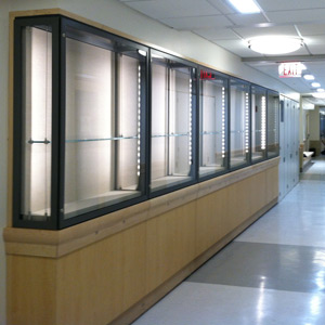 Builtin microclimate cases with LED lighting glass shelves, Yale University School of Medicine