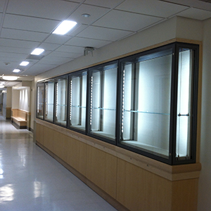 Builtin microclimate cases with LED lighting glass shelves, Yale University School of Medicine