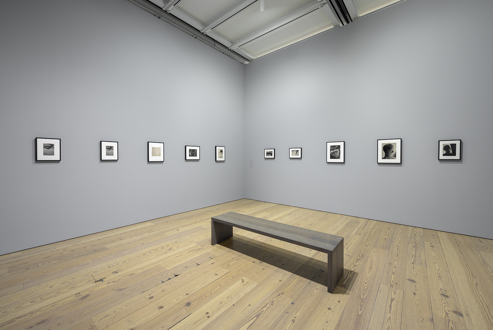 The Whitney’s Collection: Selections from 1900 to 1965 (Whitney Museum of American Art, New York, June 28, 2019-), Artworks © Estate of Hazel Larsen Archer