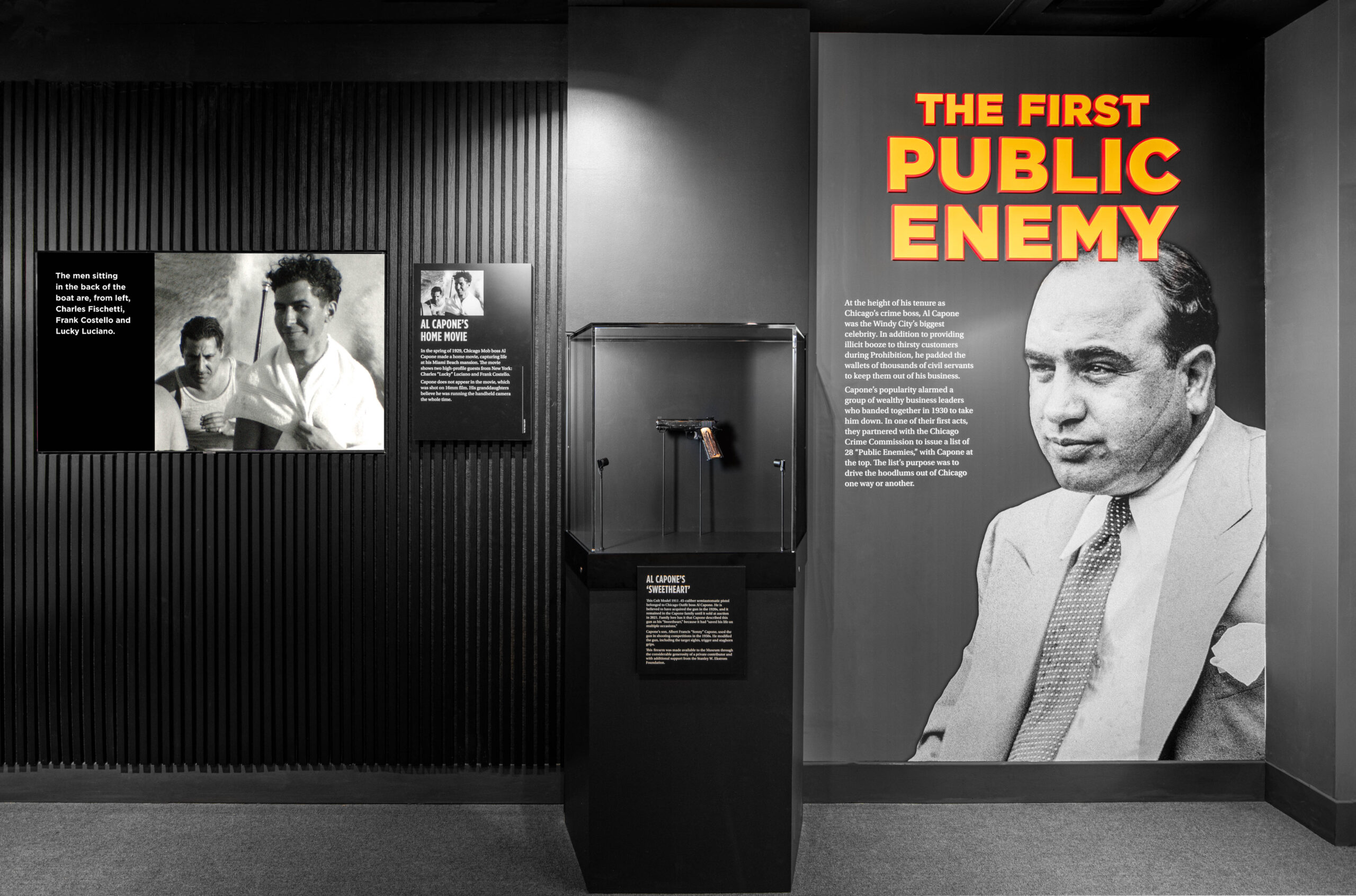 The First Public Enemy